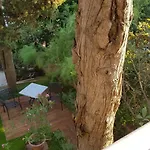 Mare Beachfront Cozy Sea View Lejlighed Pula